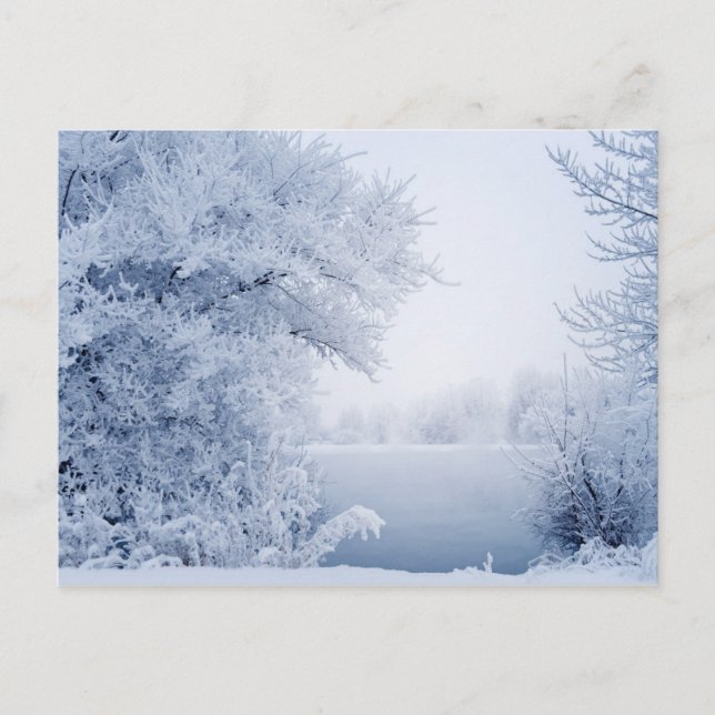 Carte Postale Beau paysage hivernal (Devant)