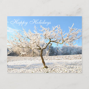 Carte Postale Beau Paysage hivernal Joli Neige