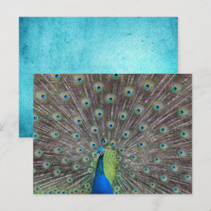 Carte Postale Beau Peacock