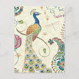 Carte Postale Beau Peacock