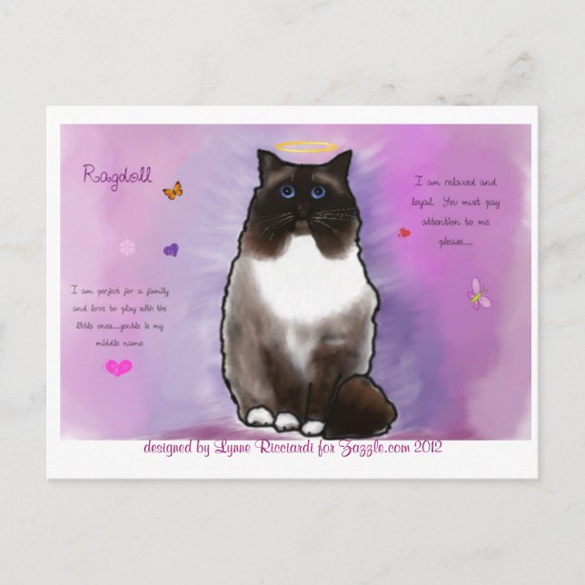 Carte Postale Beau Ragdoll doux (Devant)