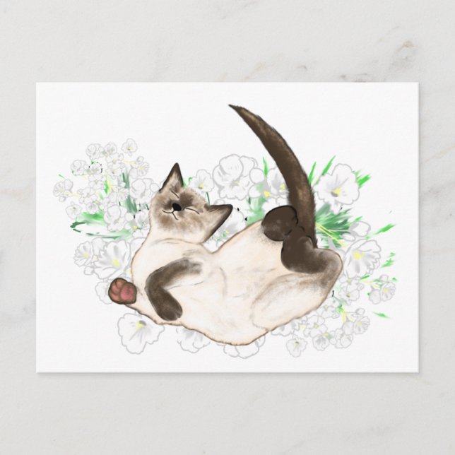 Carte Postale Beau Siamese Cat cadeaux et accessoires (Devant)