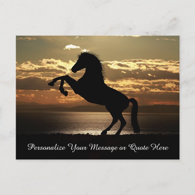 Carte Postale Beau Stallion Horse au coucher du soleil Personnal (Devant)