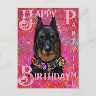 Carte Postale Beauceron
