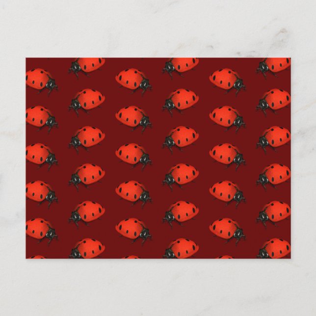 Carte Postale Beaucoup De Ladybugs (Devant)