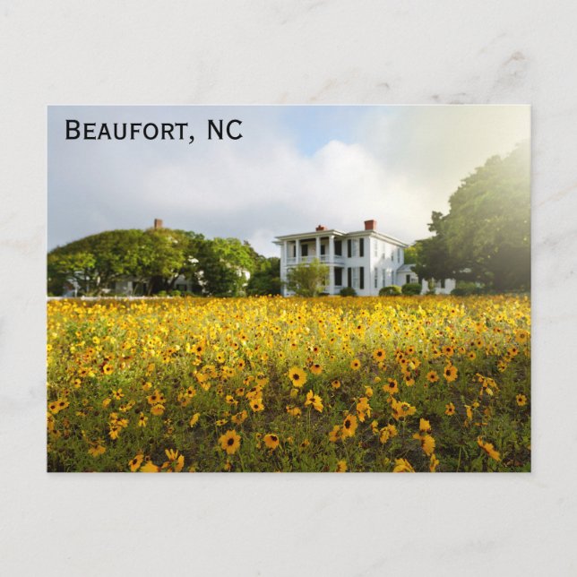 Carte Postale Beaufort North Carolina Historic Home Voyage (Devant)
