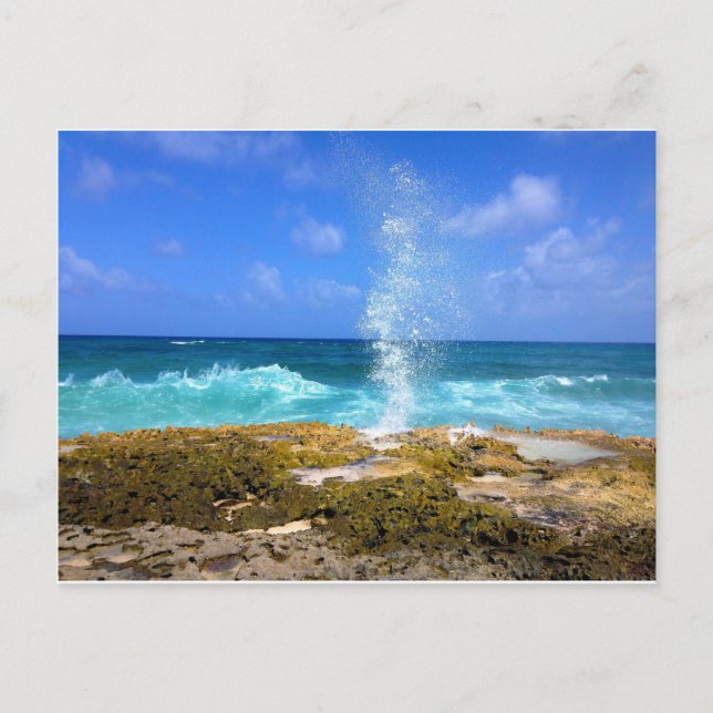 Carte Postale Beauté (Devant)