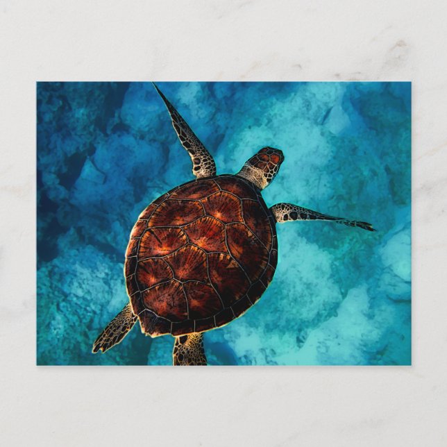 Carte Postale Beauté de la tortue de mer (Devant)