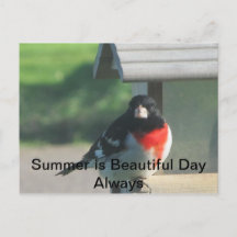 Beauté d'été