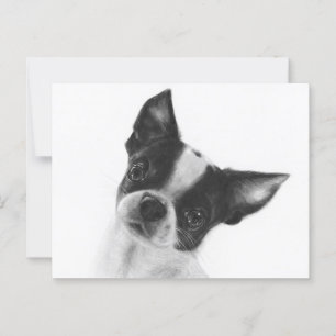 Carte Postale Beauté Dignifiée - Artisanat Chihuahua Peint À La