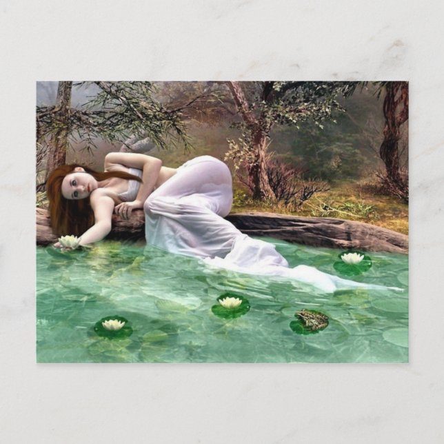 Carte Postale Beauté du nénuphar (Devant)