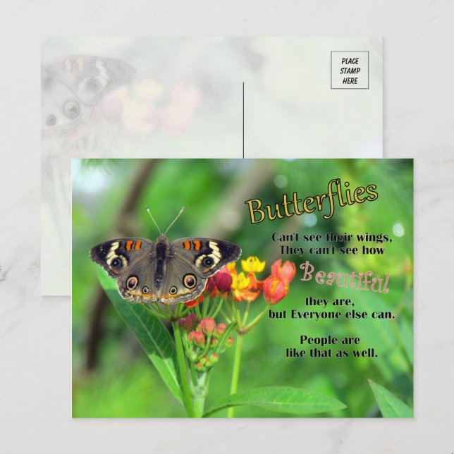 Carte postale Beauté papillon (Devant / Derrière)