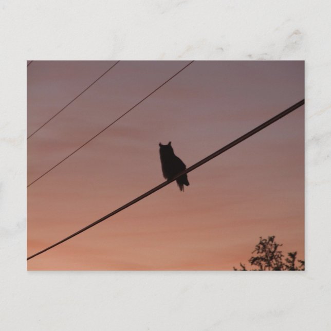 Carte Postale Beauté Silhouette (Devant)