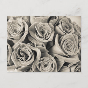 Carte Postale Beauté velours vintage