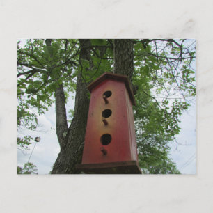 Carte Postale beautiful bird house hanging from the tree