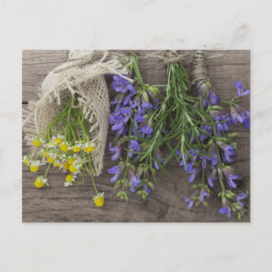 Carte Postale beautiful herbal