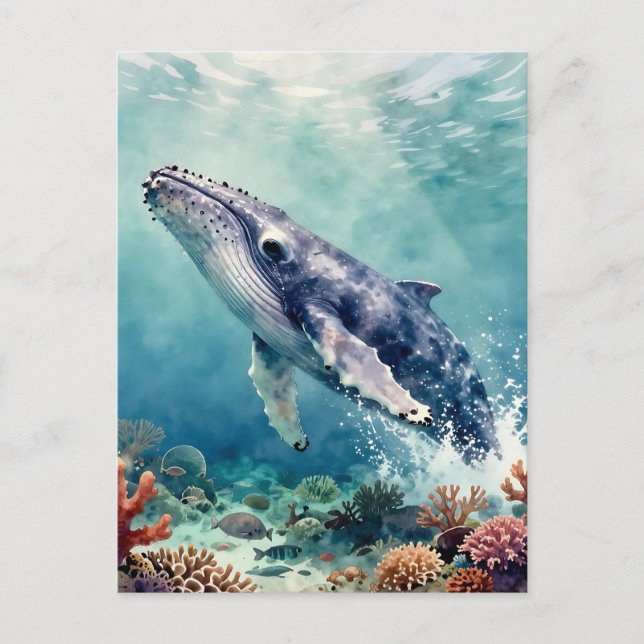 Carte Postale Beautiful Impasto Whale Oceanic Keep in Touch (Devant)