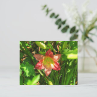 Carte Postale Beautiful Lily