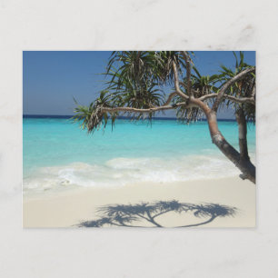 Carte Postale Beautiful Tropical Beach