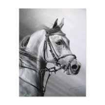 Carte postale BEAUTY ARABE