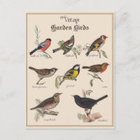 Beaux oiseaux de jardin Vintages