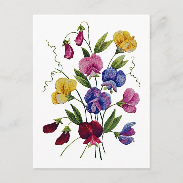 Carte Postale Beaux pois doux colorés (Devant)