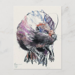 Carte Postale Beaver 2001