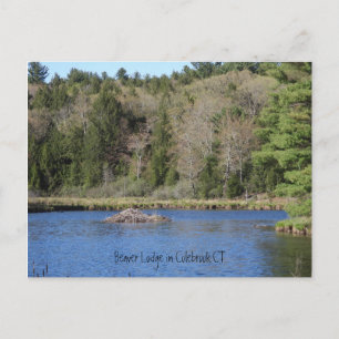 Carte Postale Beaver Lodge à COLEBROOK, CT