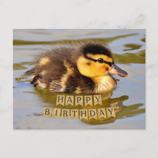 Carte Postale Bébé adorable canard dans l'étang Joyeux anniversa (Devant)