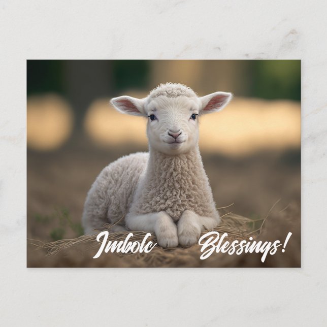 Carte Postale Bébé agneau Imbolc Bénédictions (Devant)