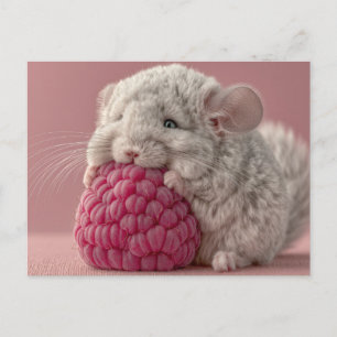 Carte Postale Bébé chinchilla adorable serrant un framboise géan