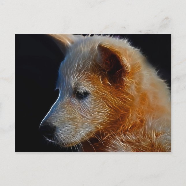 Carte Postale Bébé CUB (Devant)