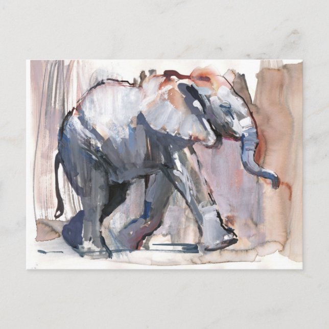 Carte Postale Bébé éléphant 2012 (Devant)