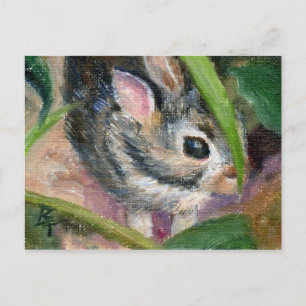 Carte Postale Bébé Lapin Cachage