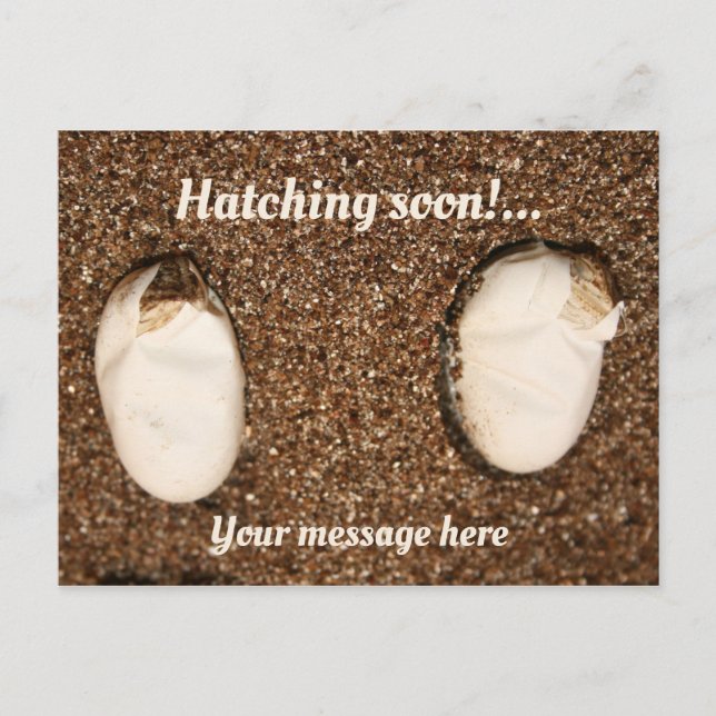Carte Postale Bébé Learded Dragons Hatching! (Devant)