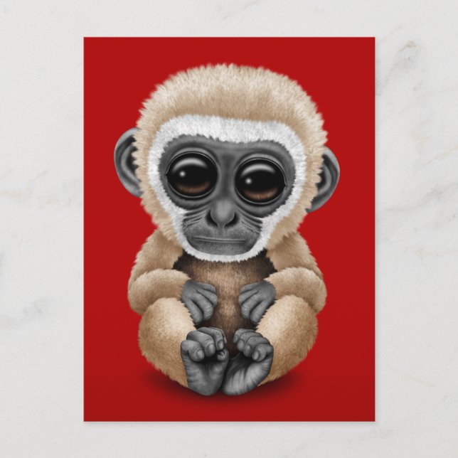 Carte Postale Bébé mignon et curieux Gibbon en rouge (Devant)