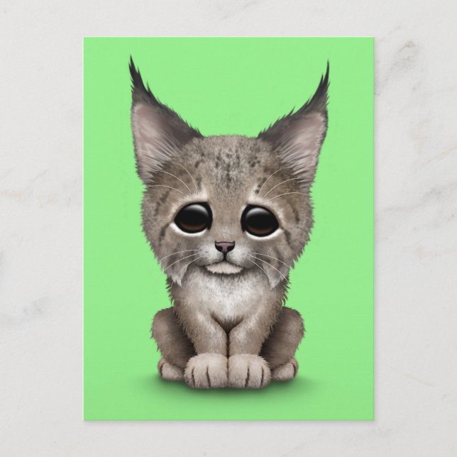 Carte Postale Bébé mignon Lynx Cub sur vert (Devant)