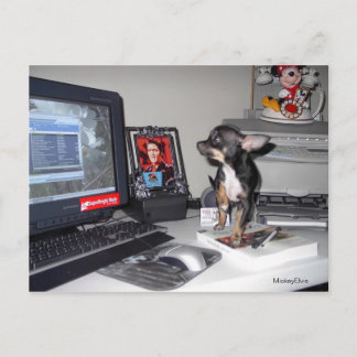 Carte Postale Bébé mignon MickeyElvis 1