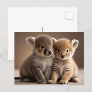 Carte Postale Bébé mignon, Post-croisement