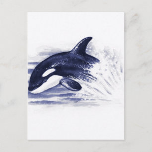 Carte Postale Bébé Orca Jump