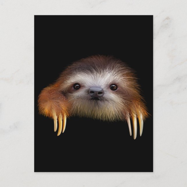 Carte Postale Bébé Sloth (Devant)
