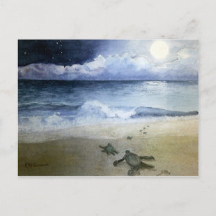 Carte Postale Bébé tortues de mer éclosion à la nuit