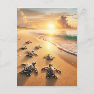 Carte Postale Bébé tortues de mer se dirigeant vers l'océan à la