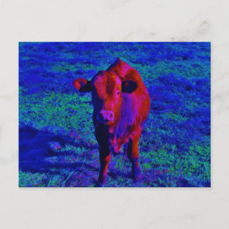 Carte Postale Bébé Vache Pelouse pourpre