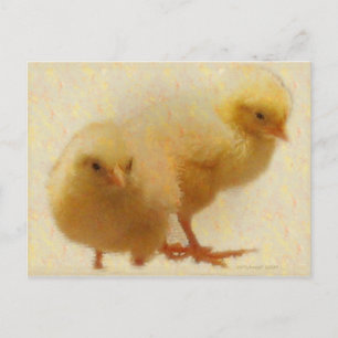 Carte Postale Bébés