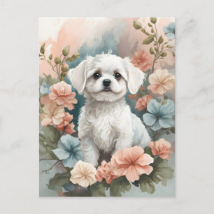 Carte Postale Bébés mignons animaux Mignonne chiot maltais bla