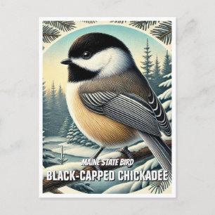 Carte Postale Bécasseau à capuchon noir de l'Oiseau du Maine