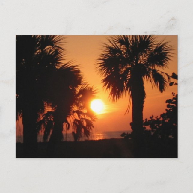 CARTE POSTALE BECKYS PALMIERS 4-2-02 (Devant)