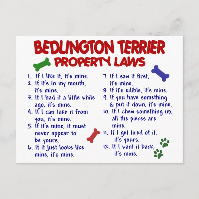 Carte Postale BEDLINGTON TERRIER Lois sur la propriété 2 (Devant)
