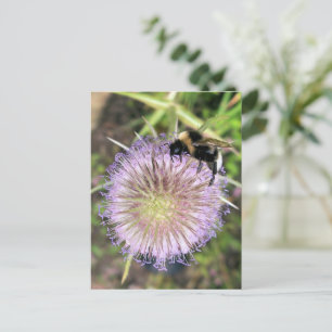 CARTE POSTALE BEE ET FLEURS
